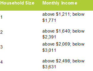 Gross Monthly Income by Household Size